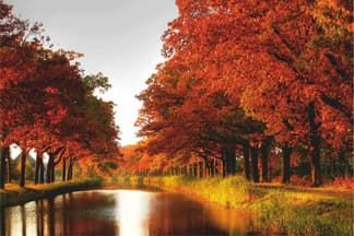 Баннер Осень с пейзажем ос22