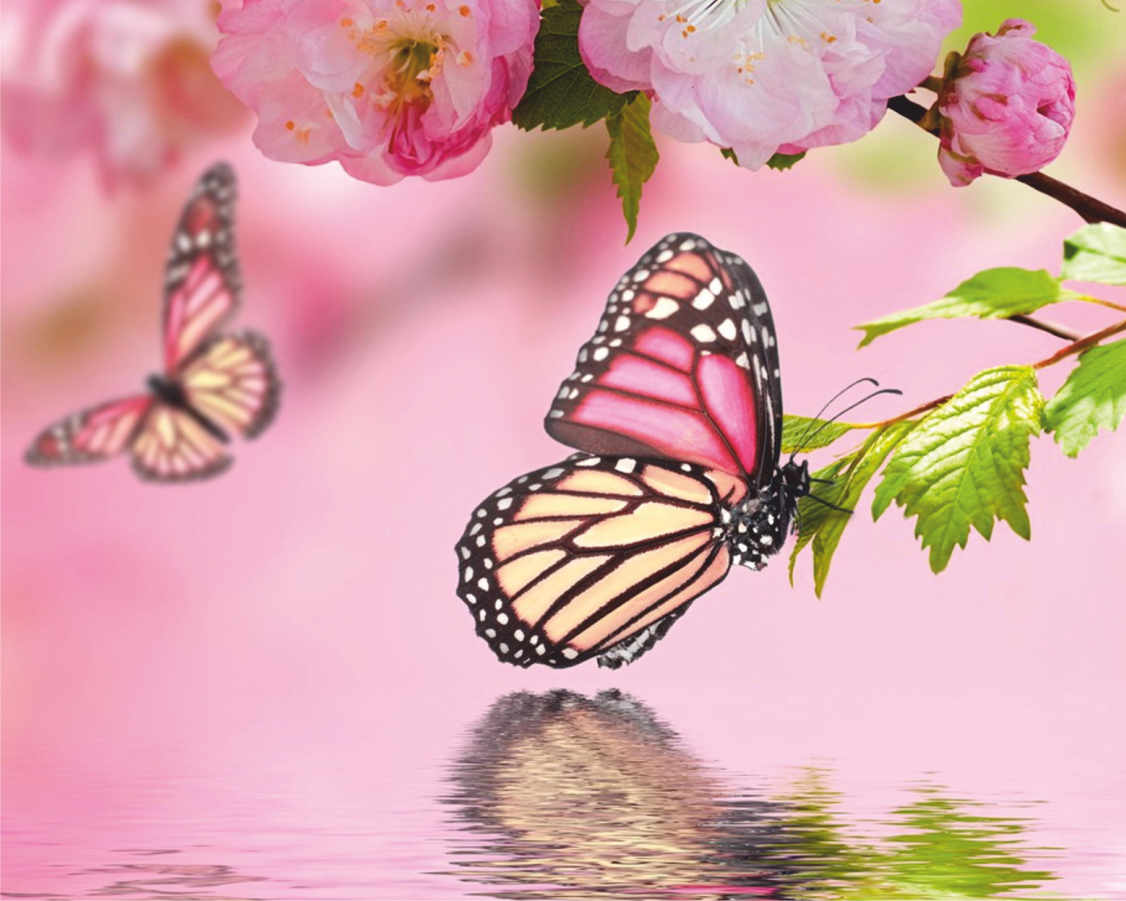 Баннер с бабочками и цветами на розовом фоне - 0